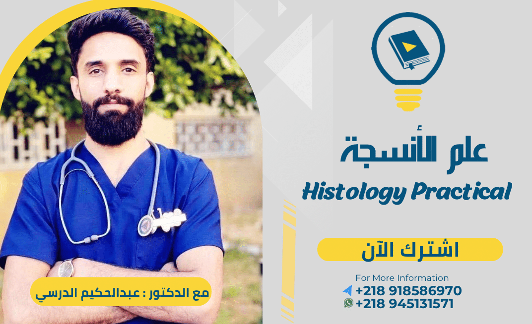 علم الأنسجة عملي – Practical Histology